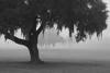 Peaceful Places : 